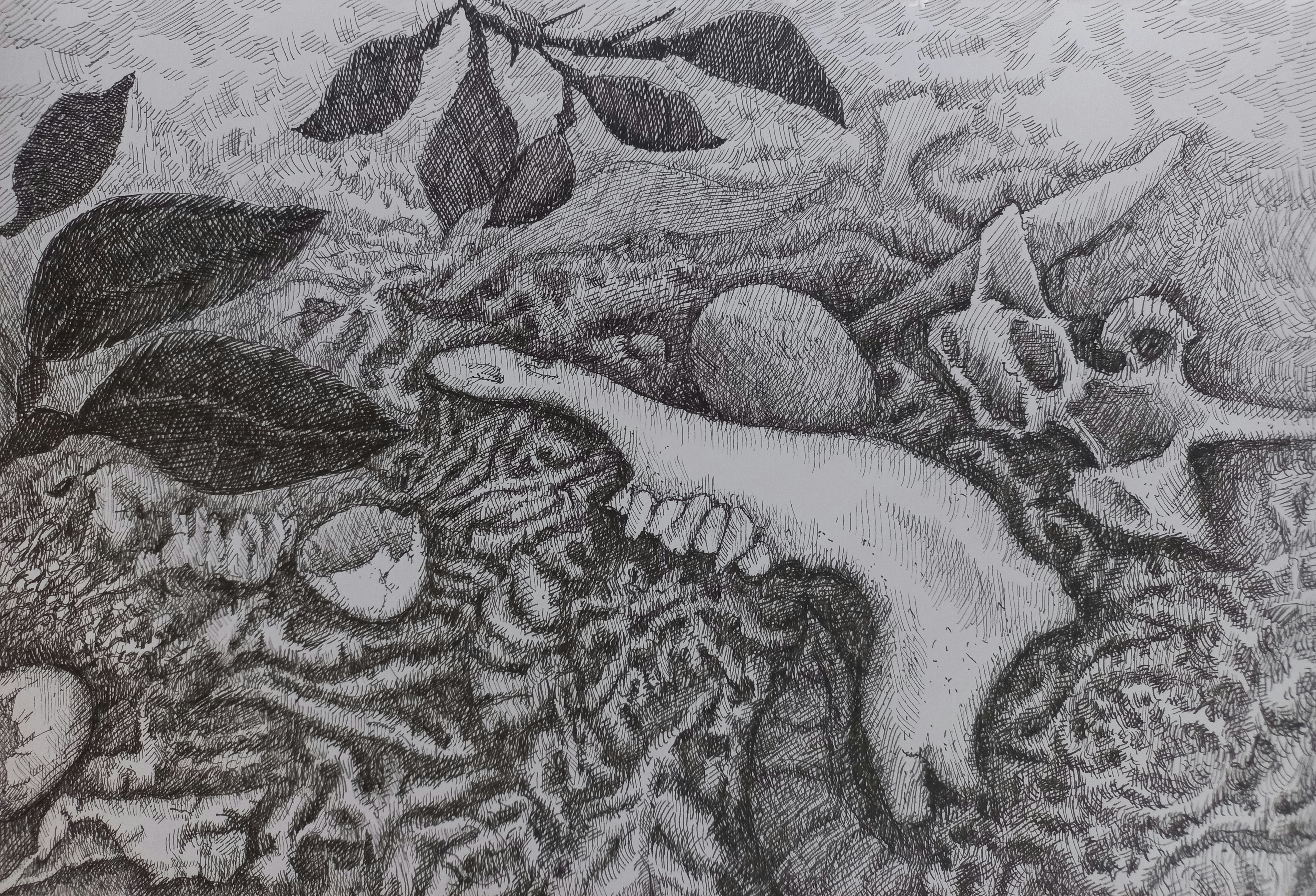 زندگی