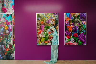 Dahlia Dreszer’s “Bringing the Outside In” Exhibition in Miami