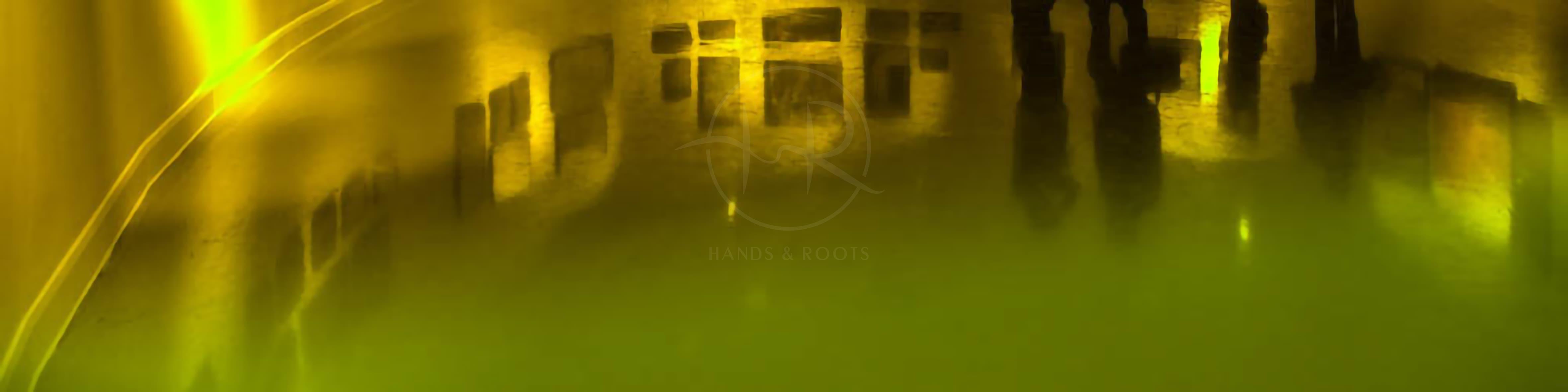 parallel world 1