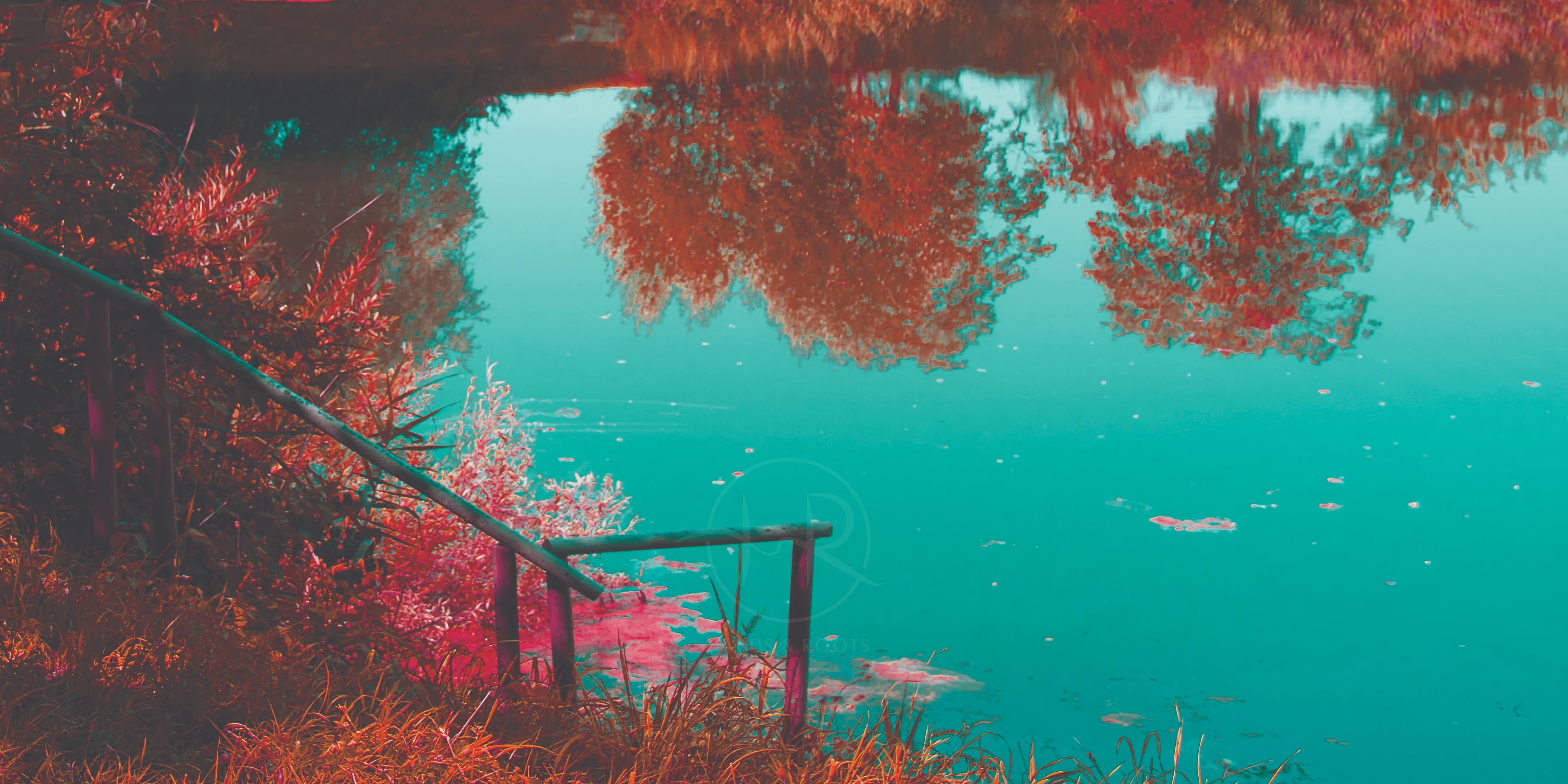 parallel world