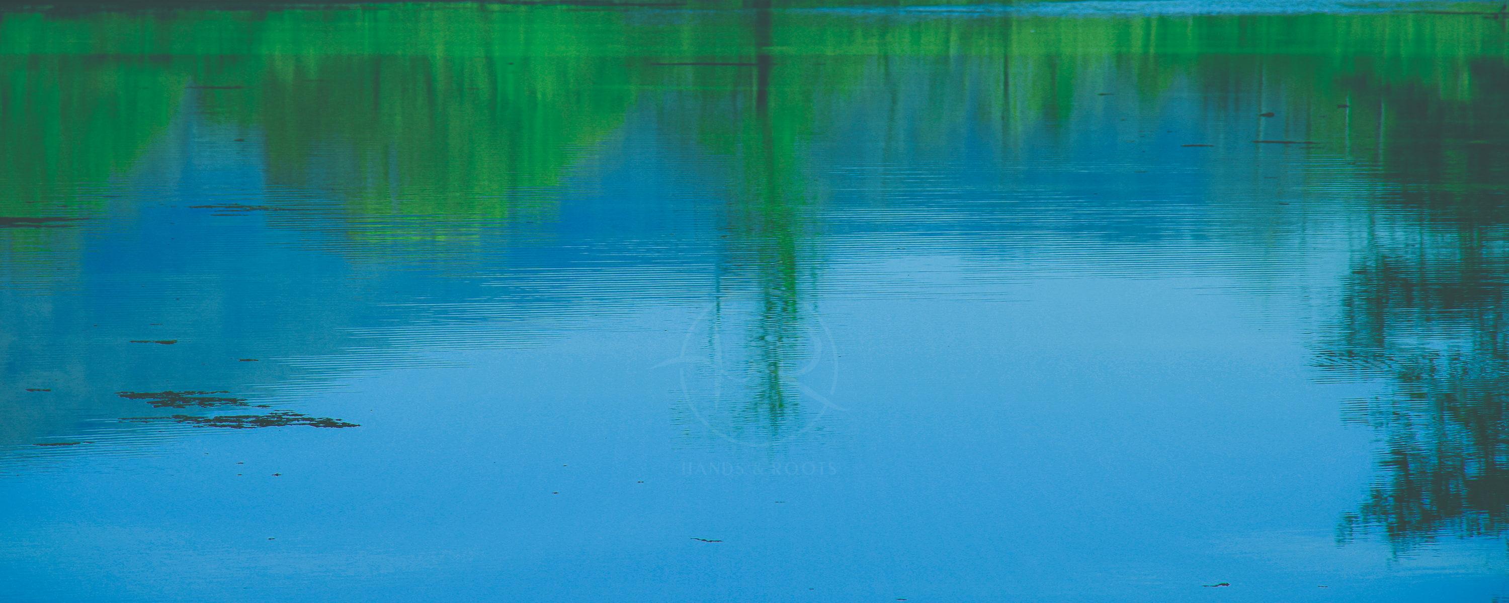parallel world