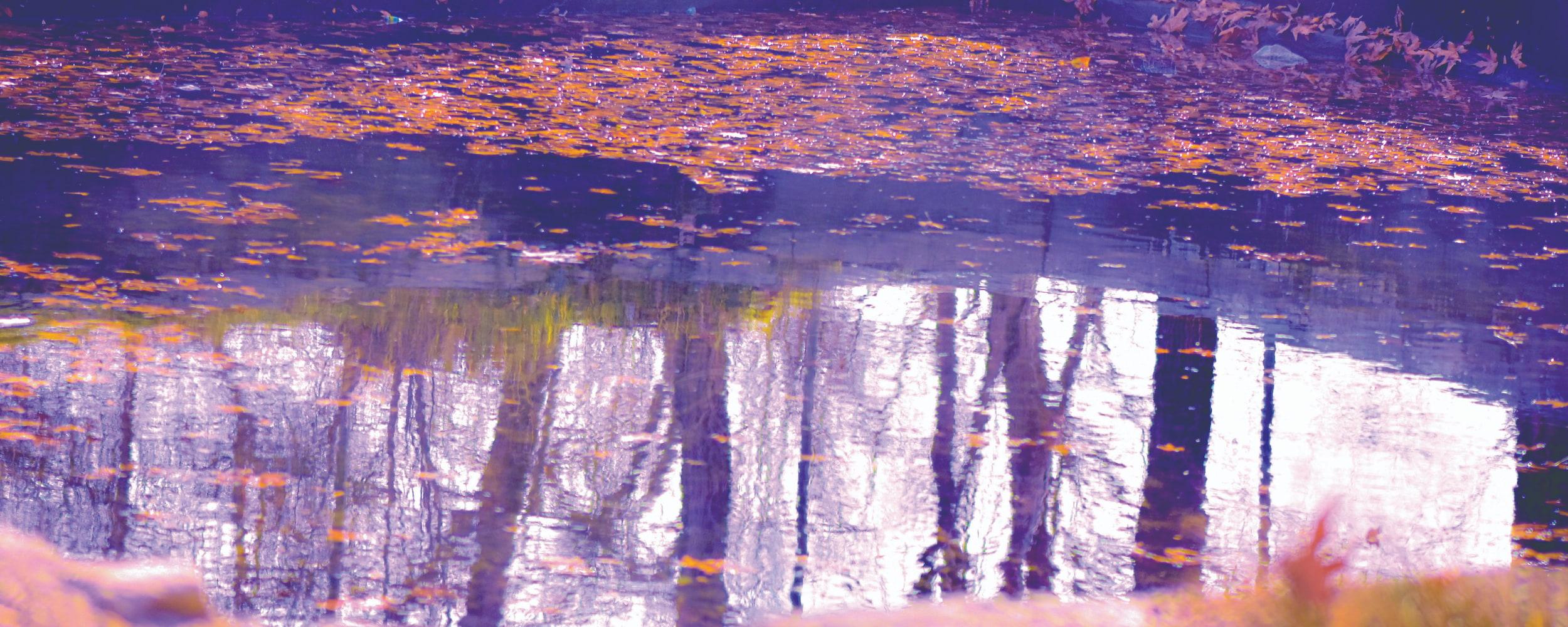 parallel world