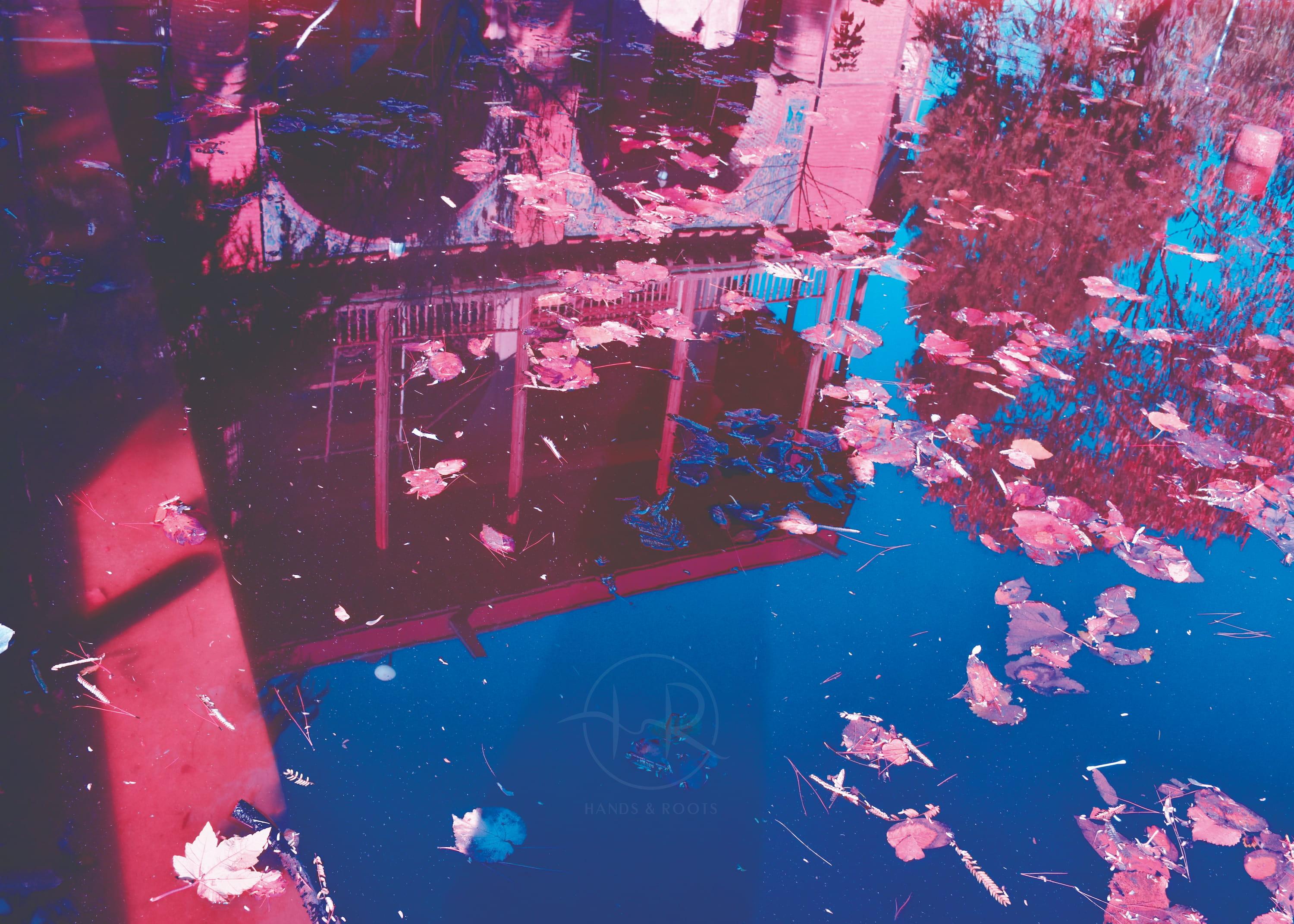 parallel world