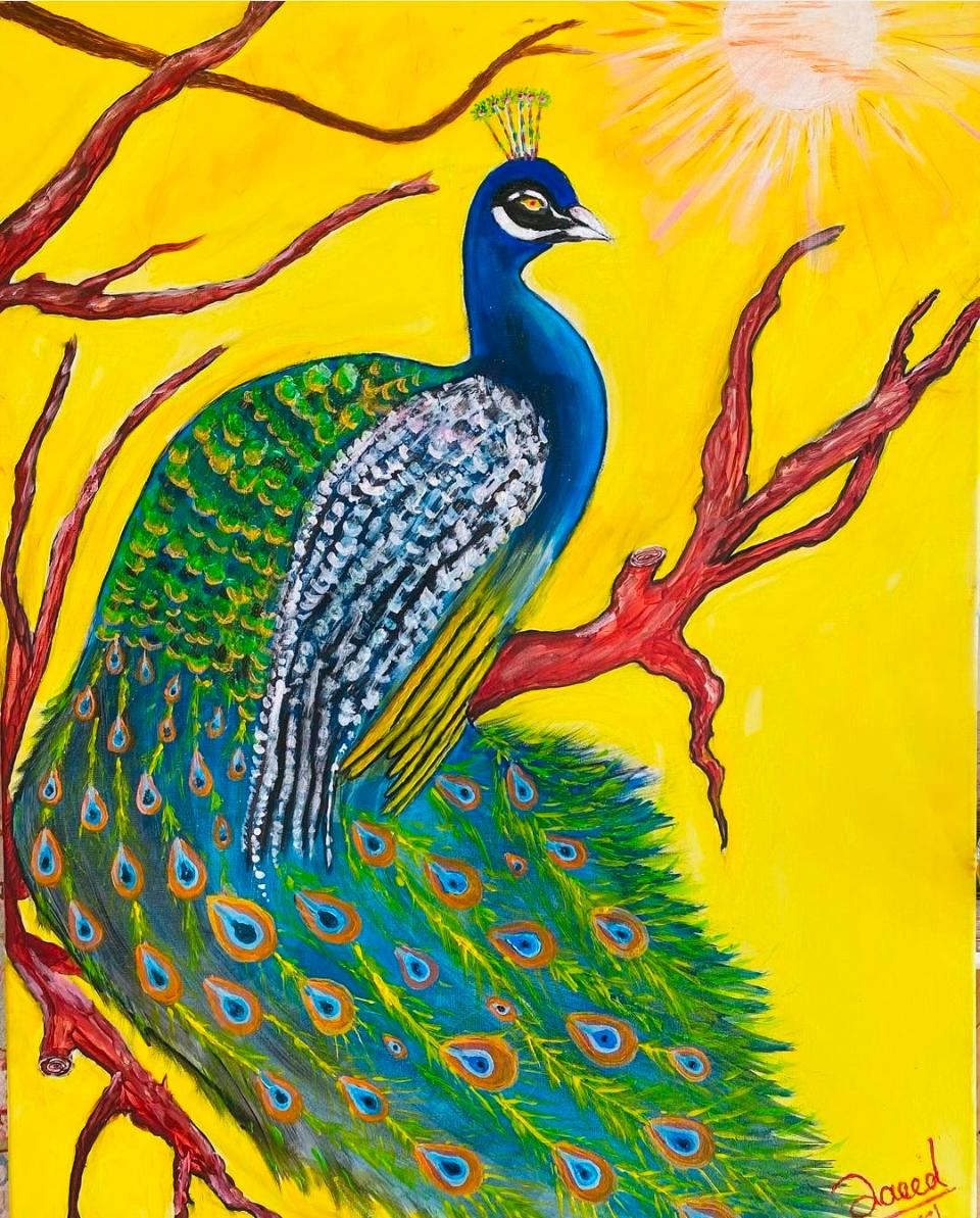 Peacock